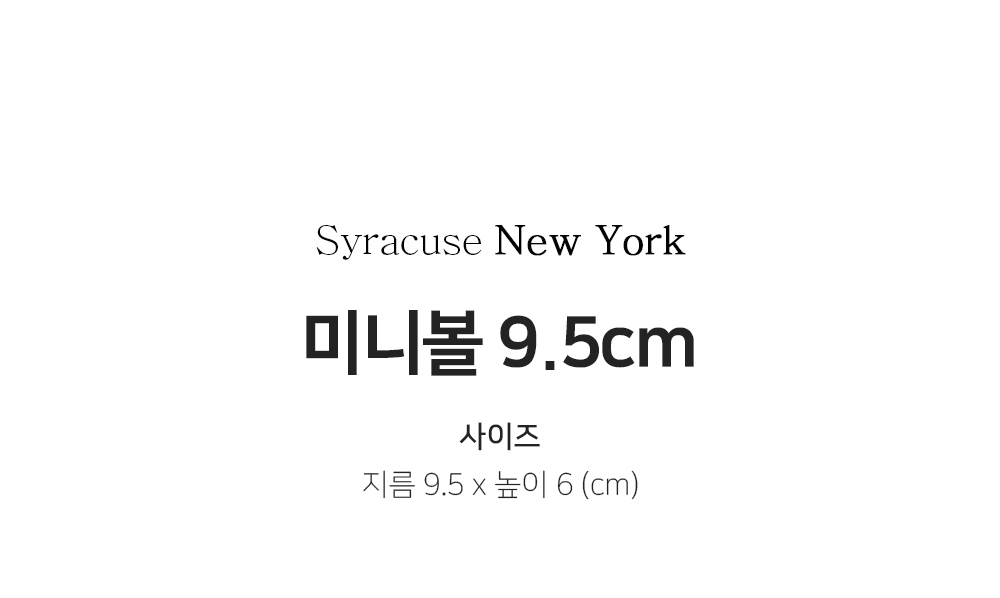 시라쿠스뉴욕 미니볼 9.5cm사이즈 지름9.5cm x 높이 6cm